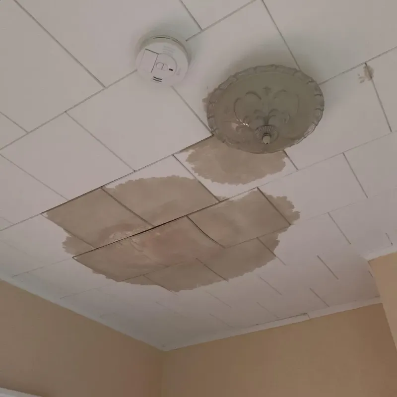 Ceiling Water Damage Repair in Rochester, MI