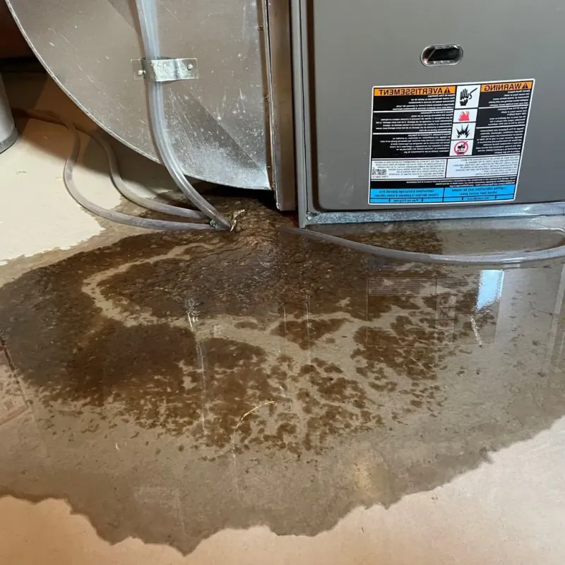 Pipe Burst and Leak Restoration in Rochester, MI